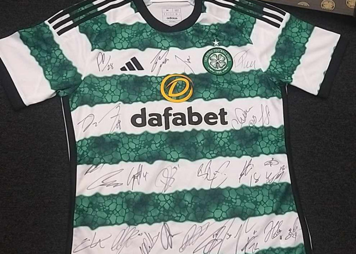 Silent auction T-shirt